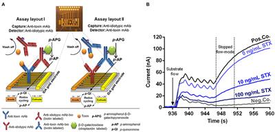 Electrochemical Biochip Assays Based on Anti-idiotypic Antibodies for Rapid and Automated On-Site Detection of Low Molecular Weight Toxins